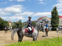 Regal ecvestru la Baza Hipică din Sibiu: Spectacol total în a doua zi a Concursului Național de Sărituri peste Obstacole!